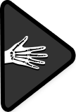 Hand